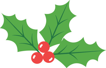 Simple vector illustration of Christmas holly leaves and red berries, festive holiday decoration element isolated on white background for design