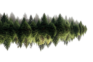 Whimsical Floating Forest Scene Illustration