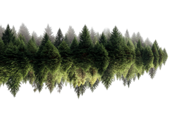 Whimsical Floating Forest Scene Illustration