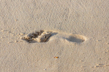 A shoe print in the sand on a beach in Rio de Janeiro.