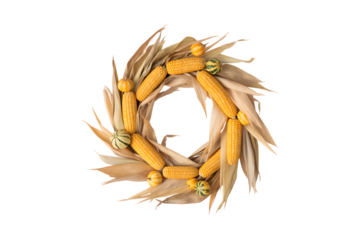 Rustic wreath made of dried corn husks and miniature gourds isolated on transparent background