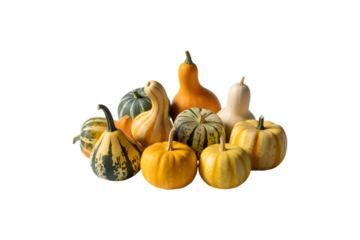 Decorative miniature gourds and heirloom pumpkins isolated on transparent background