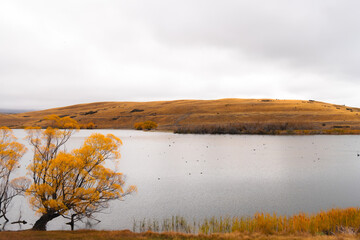 Beautiful Autumn in New Zealand