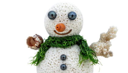Tropical Snowman Made of Coral and Shells Isolated on Transparent