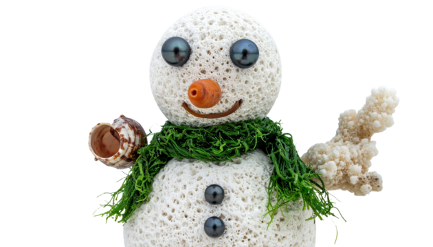 Tropical Snowman Made of Coral and Shells Isolated on Transparent