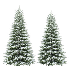 Obraz premium christmas tree isolated on white