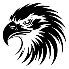 Fierce black eagle head profile graphic bird