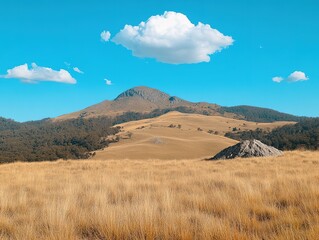 Panoramic view of Mount Kosciuszko in New South Wales' Great Dividing Range, golden grass hills swaying under warm sunlight with ancient rocky outcrop foreground, serene and dramatic natural landscape