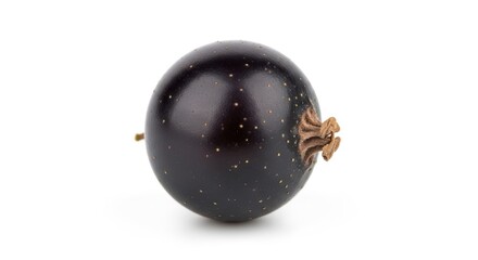 Single Blackcurrant Berry on White Background, Fruit, Isolated, Food