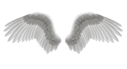 Pair of White Angel Wings Isolated on transparent background, png