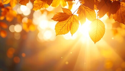 光に包まれた黄金色の秋の葉と空気感のあるコピースペース 4kリアリスティック
