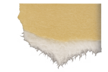 Torn kraft paper snippet with a delicate, fibrous lower edge. Clean upper edges providing a natural texture, on a transparent background