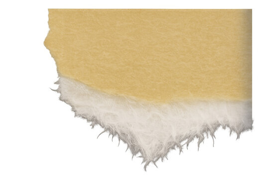 Torn kraft paper snippet with a delicate, fibrous lower edge. Clean upper edges providing a natural texture, on a transparent background