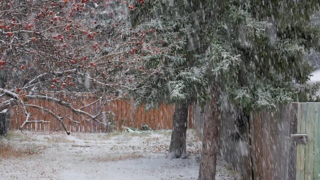 Heavy snowfall in winter with trees in background