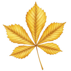 Detailed watercolor illustration of a golden autumn chestnut leaf isolated on white background
