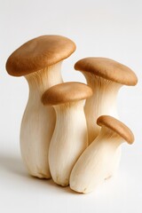 Fototapeta premium king oyster mushrooms isolated on white