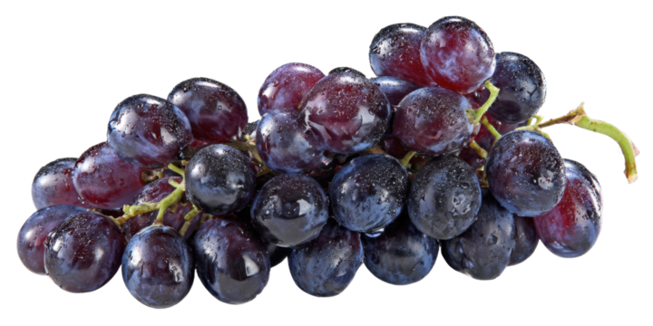 Fresh bunch of black grapes with water drops