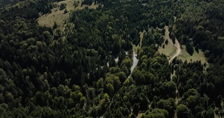 Winding mountain road cutting through a dense green forest, cars driving on it, aerial shot - Powered by Adobe