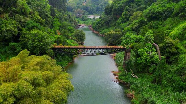 Aerial view of Meldon Viaduct near Okehampton in Devon, England, spanning a lush green valley with dense forest and calm river below, showcasing natural beauty and historic engineering.