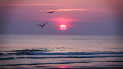 Vibrant pink and purple ocean sunset illustration with two birds flying over the serene sea and sandy beach