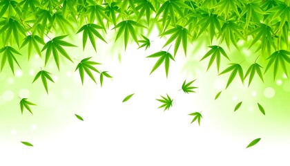 Fototapeta premium Lush green leaves cascading