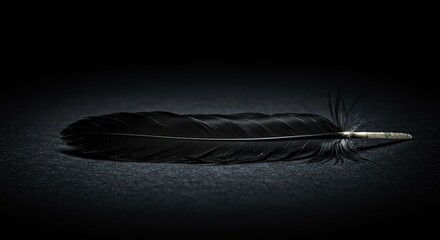 A single black raven feather gently resting on a dark, textured background, conveying themes of mystery and elegance ,close up ,surface ,mourning