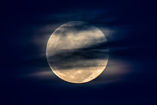 November's 'Beaver' Full Moon Supermoon Rising in the Twilight Eastern Sky