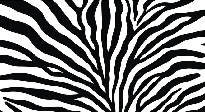 Abstract close-up of zebra stripes, showcasing a bold black and white pattern.