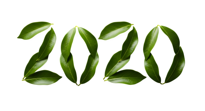 Green leaves arranged in the shape of the year 2020 on a black background