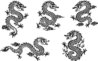 black and white dragon vector illustration on white background