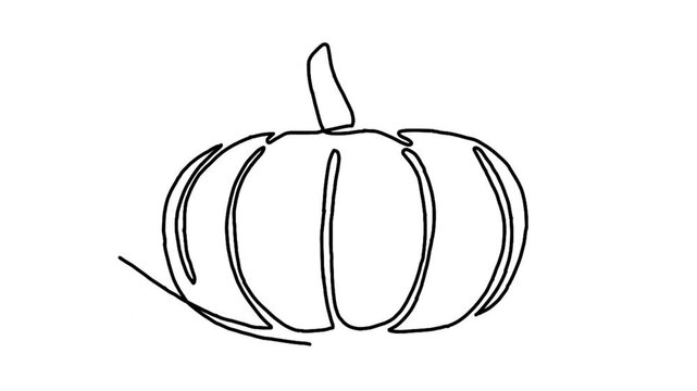 Continue line animation of pumpkin icon