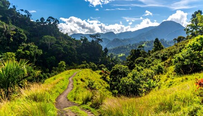 Naklejka premium Lush valley trail under a vibrant sky