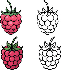 Two hand drawn raspberry illustrations one colored one outline style