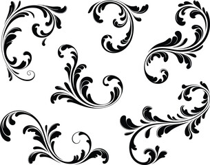 Collection of ornate black floral scrollwork and flourish elements on white background