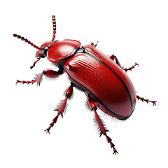 Detailed 3D Render of a Shiny Red Beetle Insect with Intricate Legs and Antennae Isolated on a Black Background Macro Studio Shot
