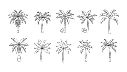 Collection of palm tree line art illustrations, perfect for tropical designs and projects