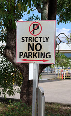 Fototapeta premium Strictly No Parking sign in a parking lot carpark in front of a tree