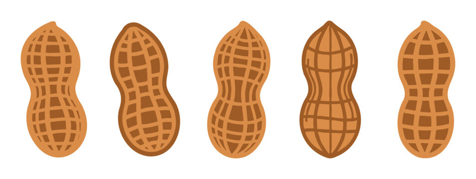Set of peanut icons for healthy food snacks nuts and natural ingredients agriculture element