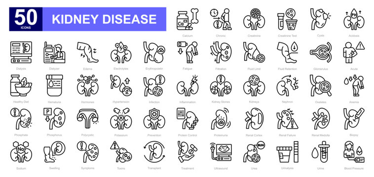Kidney Disease theme iconset