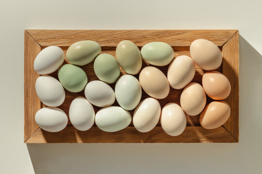 Top view natural colored easter Eggs with shadows on wooden tray, minimal trend Chicken egg with neutral earth pastel color eggshells, Easter food celebration concept, rustic setting cozy kitchen