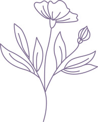Minimalist Flower Line Art Element