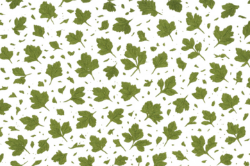 Green parsley leaves creating a seamless pattern, falling with a transparent background, fresh herb concept