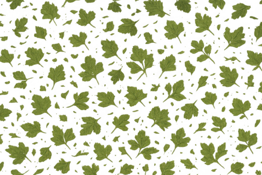 Green parsley leaves creating a seamless pattern, falling with a transparent background, fresh herb concept