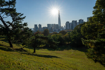 Magnificent autumn colors of the trees in a park with skyscrapers in the background, Seoul, South Korea