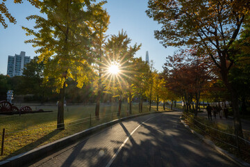 Wonderful autumn colors of the trees and a sunset  and sunstar in a park in Seoul city