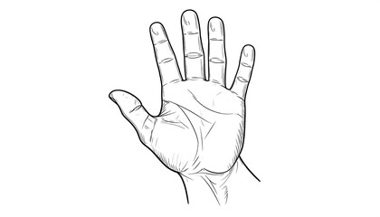 A hand's detailed line drawing with open palm, showing fingers and skin texture, set against a plain white background