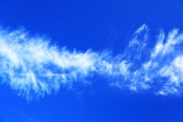 青空とユニークな巻雲