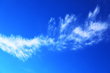 青空とユニークな巻雲