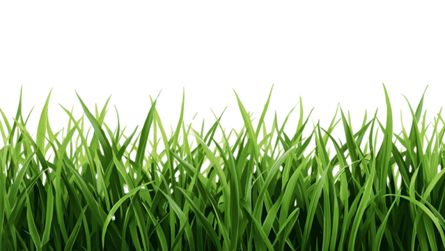 Vibrant green grass blades with small white flowers grow on a solid black background, digitally illustrated for design elements.