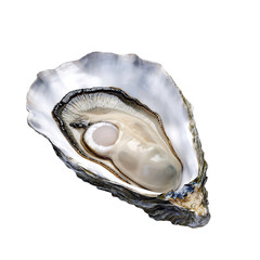 Close Up Studio Shot Of A Freshly Opened Oyster Showing Its Creamy White Meat And Iridescent Shell Isolated On A Black Background